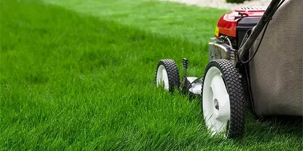 lawn mowing
