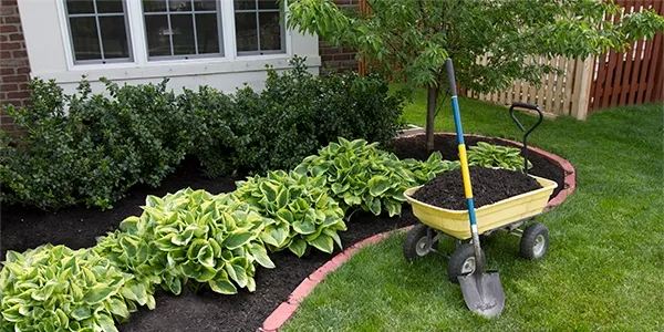 mulch